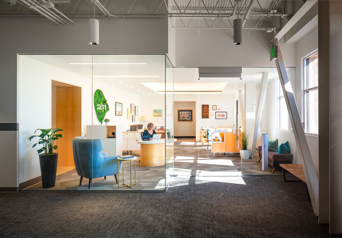 A Calyx Advantage consultation